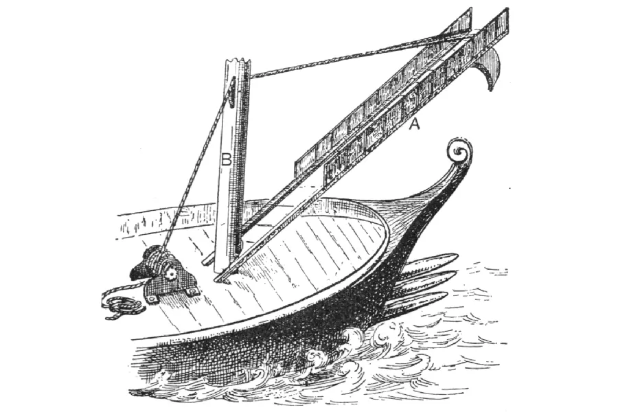 Structure of the Corvus