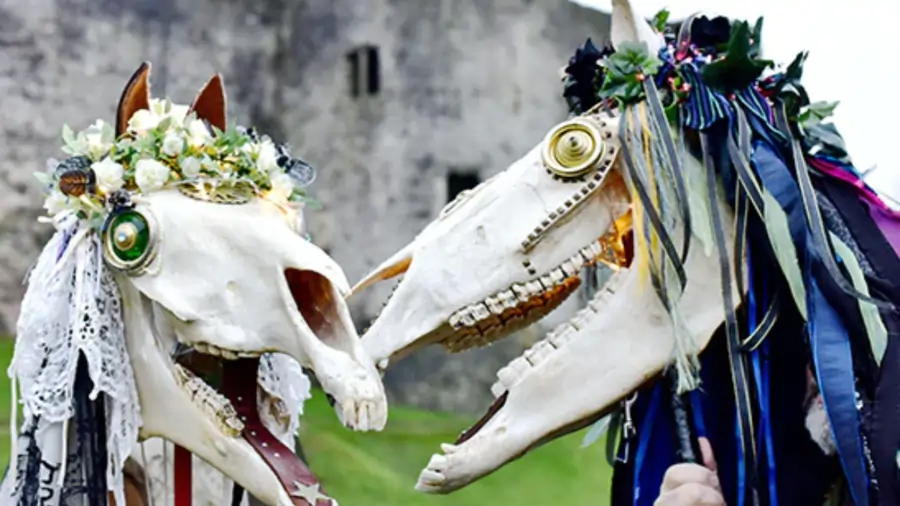 Mari Lwyd
