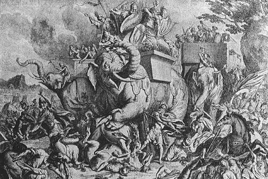 Pyrrhus uage of war elephants